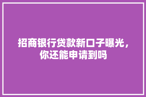 招商银行贷款新口子曝光，你还能申请到吗