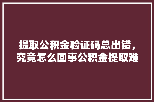 提取公积金验证码总出错，究竟怎么回事公积金提取难题