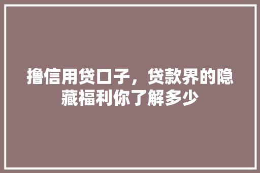 撸信用贷口子，贷款界的隐藏福利你了解多少  第1张