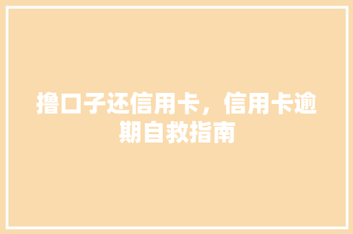 撸口子还信用卡，信用卡逾期自救指南
