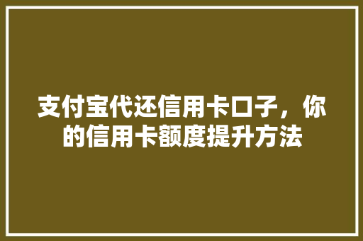 支付宝代还信用卡口子，你的信用卡额度提升方法