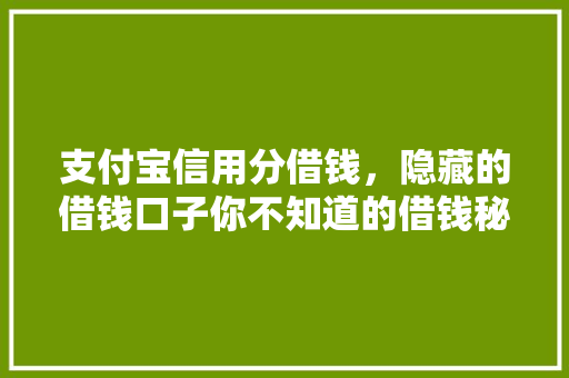 支付宝信用分借钱，隐藏的借钱口子你不知道的借钱秘密