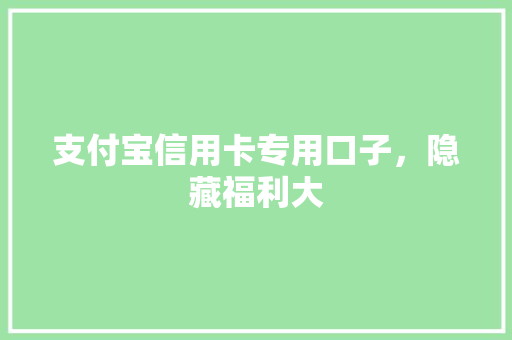 支付宝信用卡专用口子，隐藏福利大