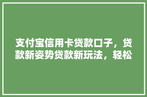 支付宝信用卡贷款口子，贷款新姿势贷款新玩法，轻松实现周转