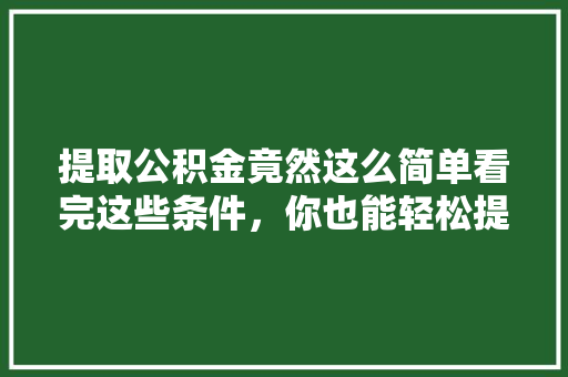 提取公积金竟然这么简单看完这些条件，你也能轻松提取