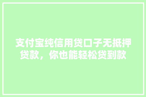 支付宝纯信用贷口子无抵押贷款，你也能轻松贷到款