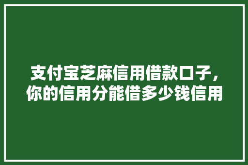 支付宝芝麻信用借款口子，你的信用分能借多少钱信用贷款的秘密