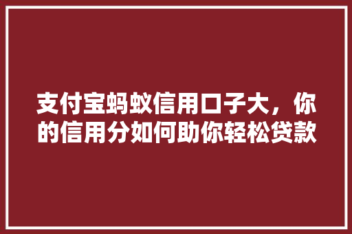 支付宝蚂蚁信用口子大，你的信用分如何助你轻松贷款