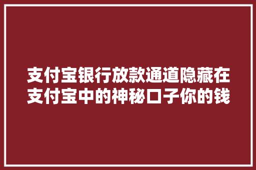 支付宝银行放款通道隐藏在支付宝中的神秘口子你的钱袋子新秘密