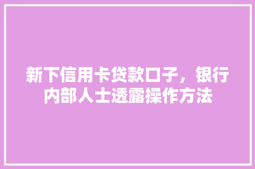 新下信用卡贷款口子，银行内部人士透露操作方法
