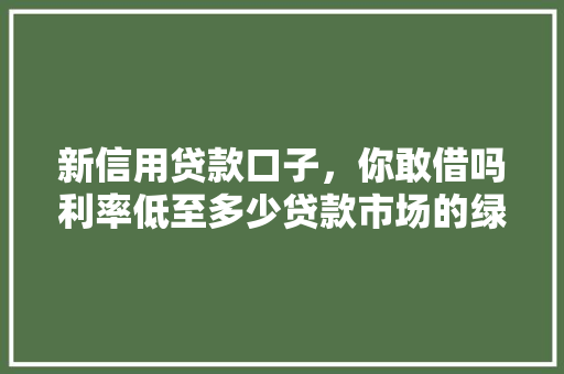 新信用贷款口子，你敢借吗利率低至多少贷款市场的绿色通道