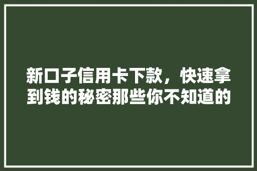 新口子信用卡下款，快速拿到钱的秘密那些你不知道的方法