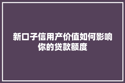 新口子信用产价值如何影响你的贷款额度