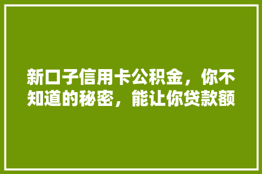 新口子信用卡公积金，你不知道的秘密，能让你贷款额度翻倍