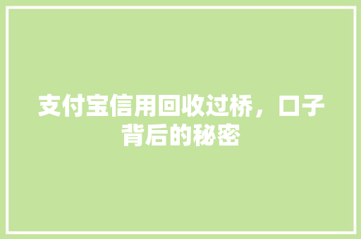 支付宝信用回收过桥，口子背后的秘密