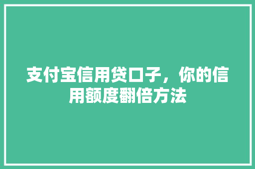 支付宝信用贷口子，你的信用额度翻倍方法