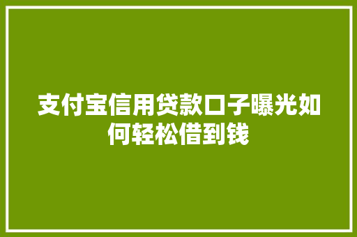 支付宝信用贷款口子曝光如何轻松借到钱