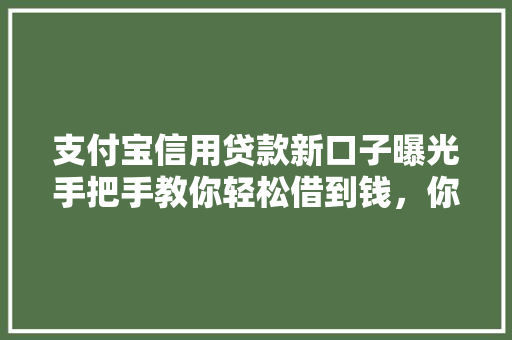 支付宝信用贷款新口子曝光手把手教你轻松借到钱，你敢看吗