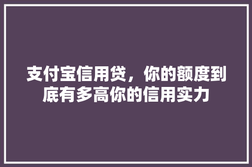 支付宝信用贷，你的额度到底有多高你的信用实力