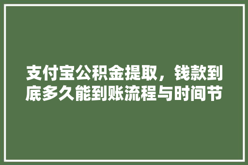 支付宝公积金提取，钱款到底多久能到账流程与时间节点
