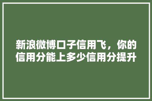 新浪微博口子信用飞，你的信用分能上多少信用分提升攻略