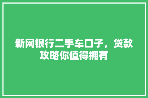 新网银行二手车口子，贷款攻略你值得拥有