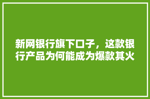 新网银行旗下口子，这款银行产品为何能成为爆款其火爆背后的秘密