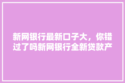 新网银行最新口子大，你错过了吗新网银行全新贷款产品