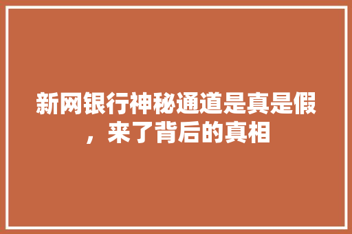 新网银行神秘通道是真是假，来了背后的真相