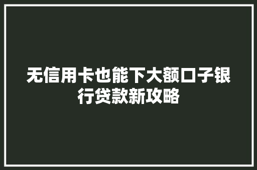 无信用卡也能下大额口子银行贷款新攻略