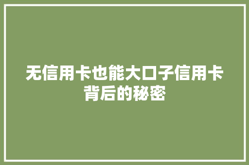 无信用卡也能大口子信用卡背后的秘密