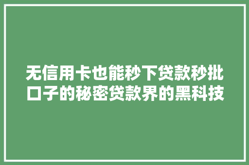 无信用卡也能秒下贷款秒批口子的秘密贷款界的黑科技