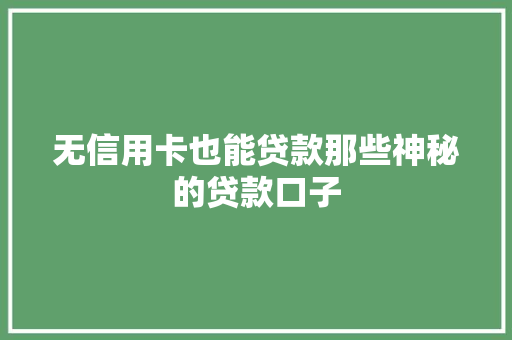 无信用卡也能贷款那些神秘的贷款口子