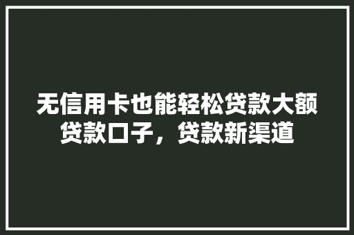 无信用卡也能轻松贷款大额贷款口子，贷款新渠道