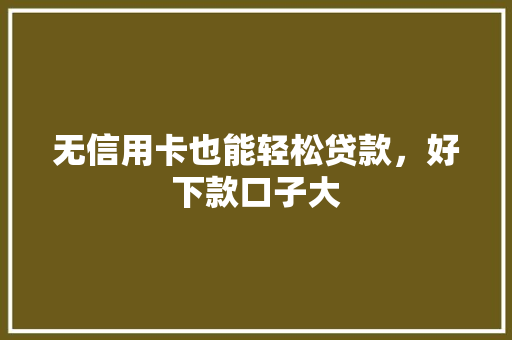 无信用卡也能轻松贷款，好下款口子大