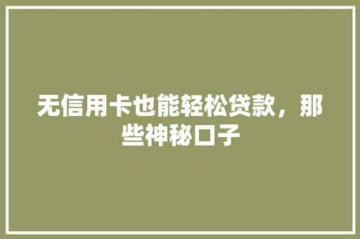 无信用卡也能轻松贷款，那些神秘口子