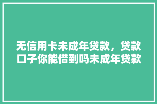无信用卡未成年贷款，贷款口子你能借到吗未成年贷款的真相