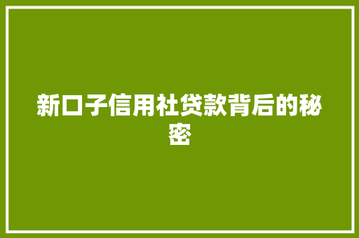 新口子信用社贷款背后的秘密