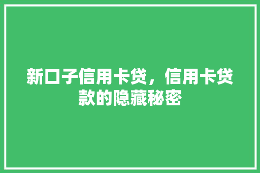 新口子信用卡贷，信用卡贷款的隐藏秘密