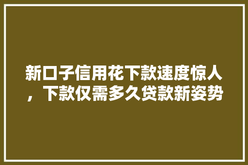 新口子信用花下款速度惊人，下款仅需多久贷款新姿势