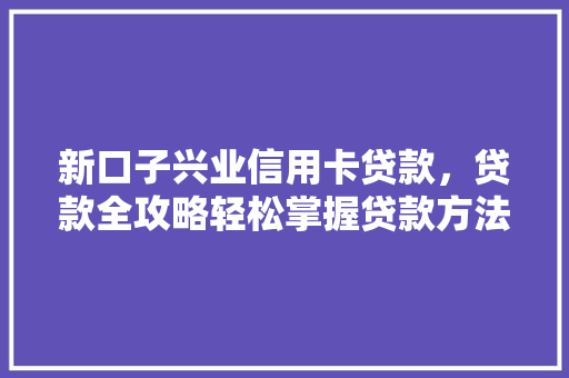 新口子兴业信用卡贷款，贷款全攻略轻松掌握贷款方法，实现财务自由
