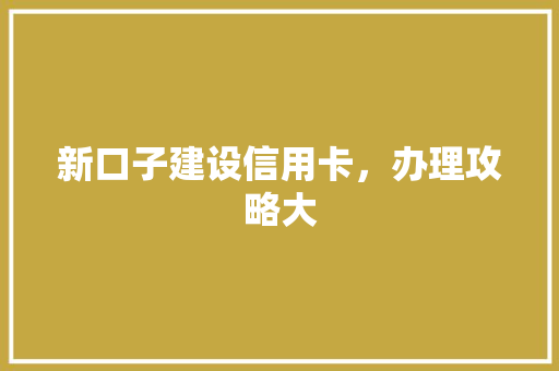 新口子建设信用卡，办理攻略大