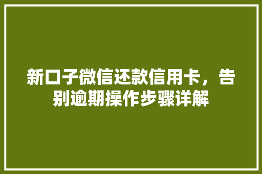 新口子微信还款信用卡，告别逾期操作步骤详解