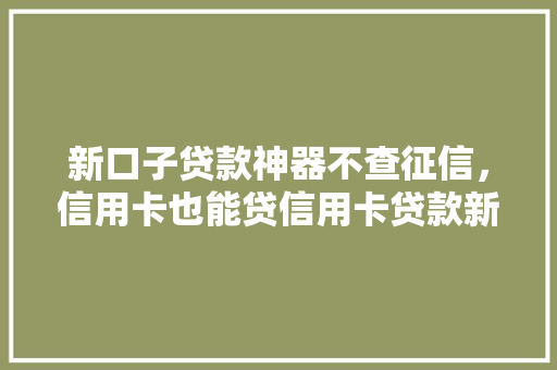 新口子贷款神器不查征信，信用卡也能贷信用卡贷款新玩法