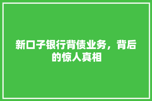 新口子银行背债业务，背后的惊人真相