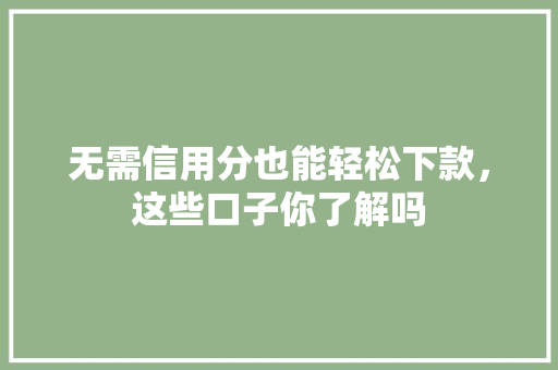 无需信用分也能轻松下款，这些口子你了解吗