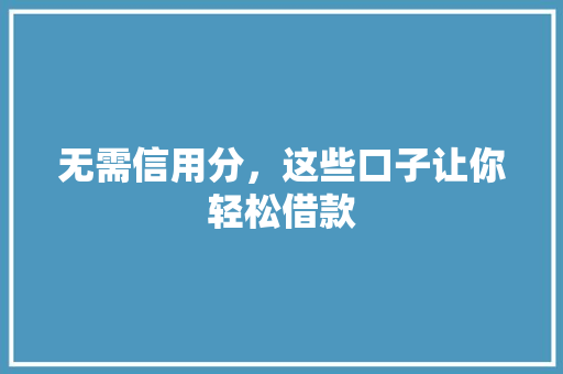 无需信用分，这些口子让你轻松借款