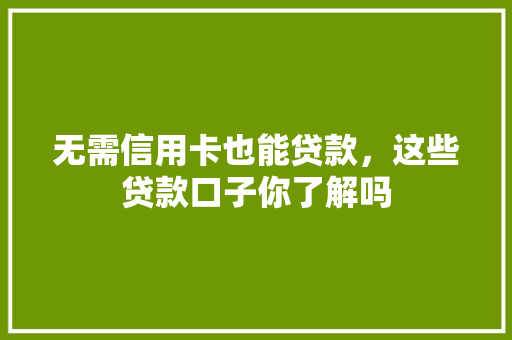 无需信用卡也能贷款，这些贷款口子你了解吗
