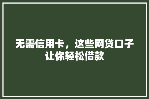 无需信用卡，这些网贷口子让你轻松借款