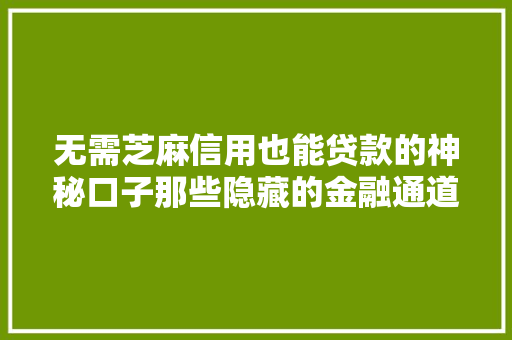 无需芝麻信用也能贷款的神秘口子那些隐藏的金融通道  第1张